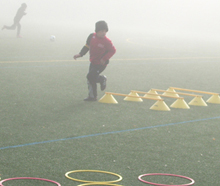 LFSDE Sportarten
