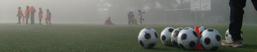 LFSDE: Neu in 2012