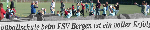 LFSDE: Pressebericht