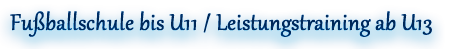 LFSDE: 2014 mit Leistungstraining!