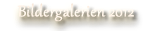 LFS-Promotion Tour Galerien!